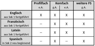 Wir bieten unseren Schülerinnen und Schülern vorstehende Fremdsprachen zur Wahl.
(Legende: g.A.: grundlegendes Anforderungsniveau, e.A.: erhöhtes Anforderungsniveau)