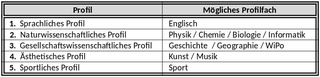 Mit Schuljahresbeginn 2021/22 wurde in Schleswig-Holstein eine reformierte Profiloberstufe eingeführt.

Die Max-Planck-Schule bietet dazu regelmäßig die vorstehenden Profile an.